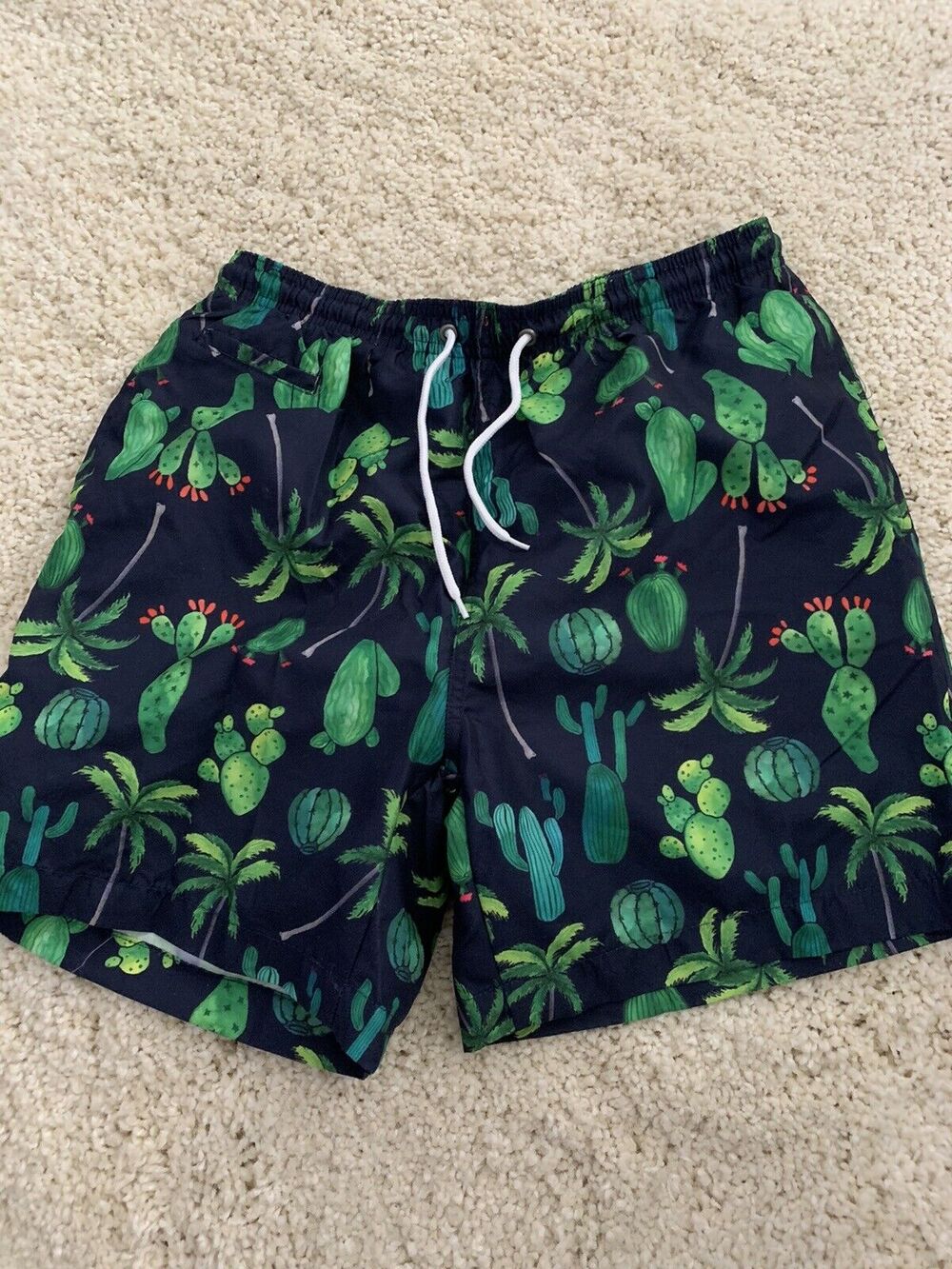 TRUNKS Brand Swim Suit Mens M Blue Cactus Cacti Print Pull-On Mesh Lined Pocket